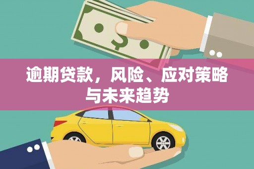 舞阳逾期贷款，风险、应对策略与未来趋势