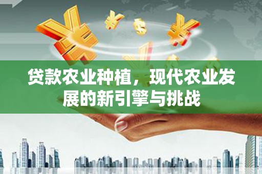 舞阳贷款农业种植，现代农业发展的新引擎与挑战
