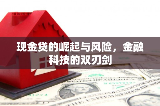 舞阳现金贷的崛起与风险，金融科技的双刃剑
