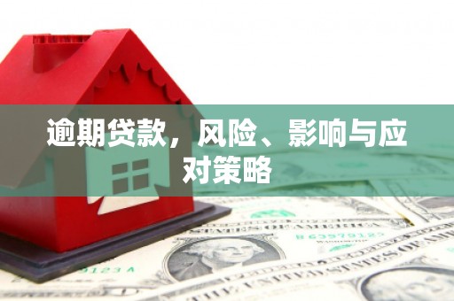 舞阳逾期贷款，风险、影响与应对策略
