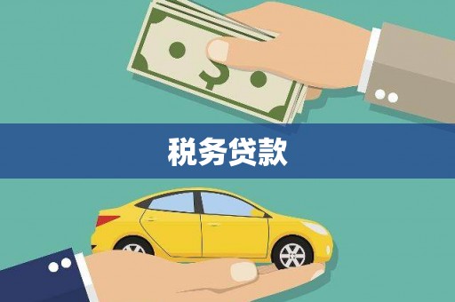 舞阳税务贷款
