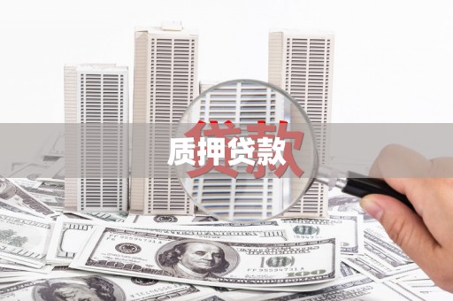 舞阳质押贷款
