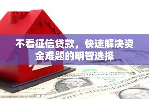 舞阳不看征信贷款，快速解决资金难题的明智选择