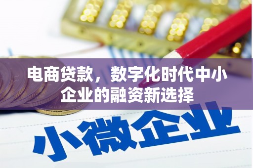 舞阳电商贷款，数字化时代中小企业的融资新选择