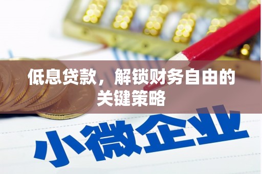 舞阳低息贷款，解锁财务自由的关键策略