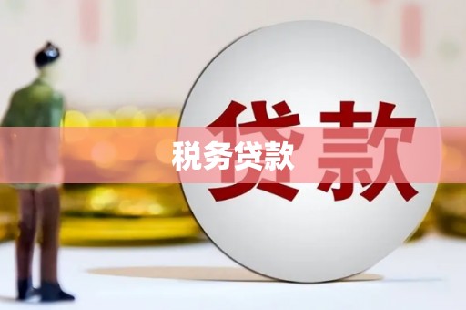 舞阳税务贷款