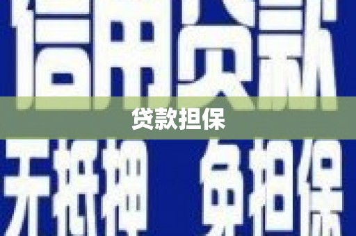 舞阳贷款担保