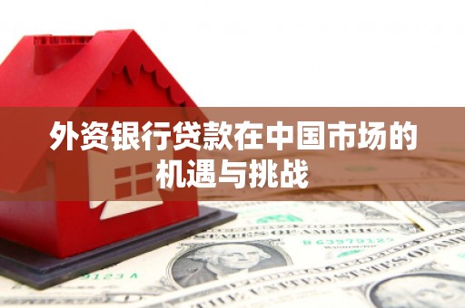 舞阳外资银行贷款在中国市场的机遇与挑战