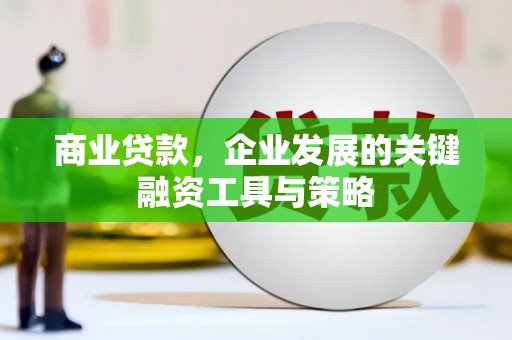 舞阳商业贷款，企业发展的关键融资工具与策略