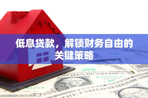舞阳低息贷款，解锁财务自由的关键策略