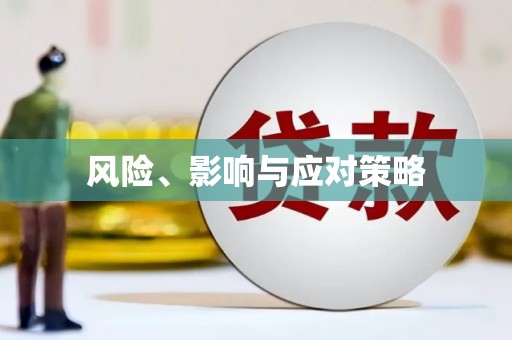 舞阳风险、影响与应对策略