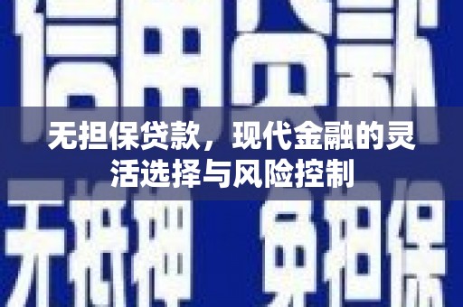 舞阳无担保贷款，现代金融的灵活选择与风险控制