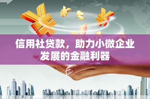 舞阳信用社贷款，助力小微企业发展的金融利器