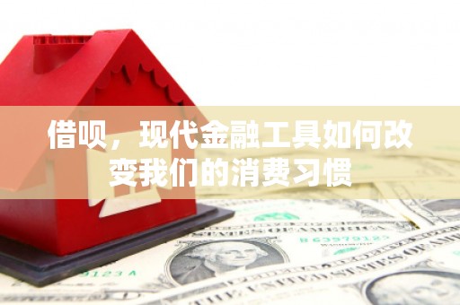 舞阳借呗，现代金融工具如何改变我们的消费习惯