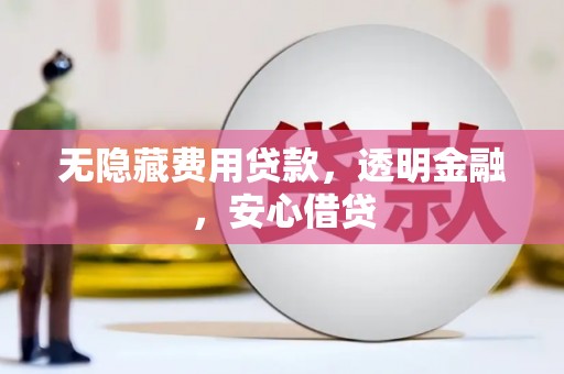 舞阳无隐藏费用贷款，透明金融，安心借贷