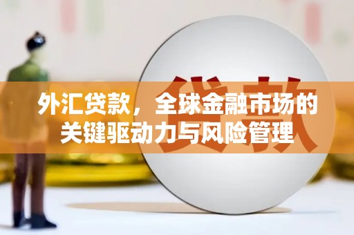 舞阳外汇贷款，全球金融市场的关键驱动力与风险管理