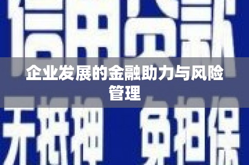 舞阳企业发展的金融助力与风险管理