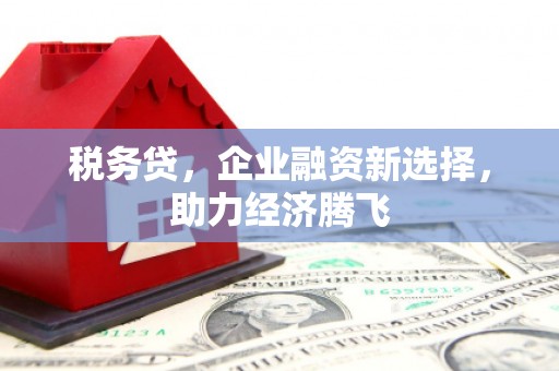 舞阳税务贷，企业融资新选择，助力经济腾飞