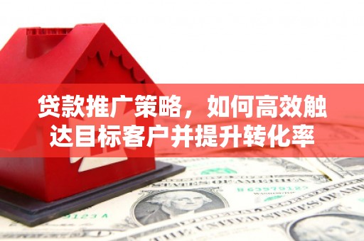 舞阳贷款推广策略，如何高效触达目标客户并提升转化率