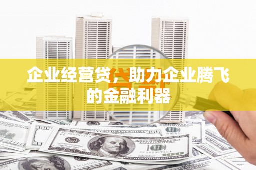 舞阳企业经营贷，助力企业腾飞的金融利器