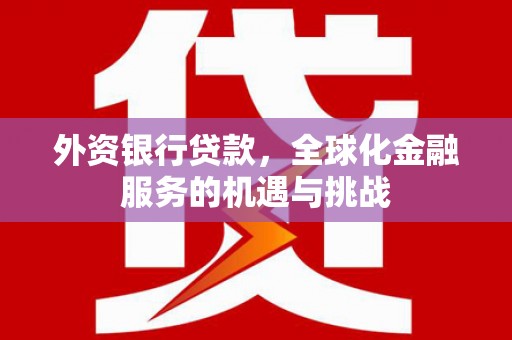 舞阳外资银行贷款，全球化金融服务的机遇与挑战