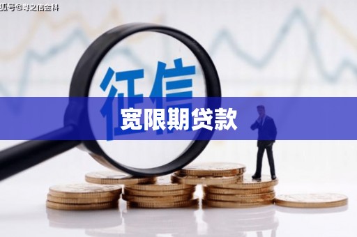 舞阳宽限期贷款