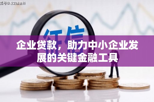 舞阳企业贷款，助力中小企业发展的关键金融工具