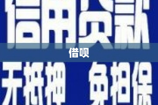 舞阳借呗