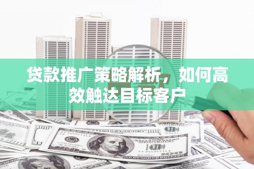舞阳贷款推广策略解析，如何高效触达目标客户