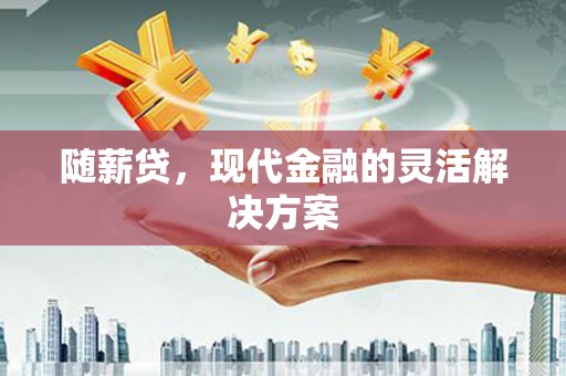 舞阳随薪贷，现代金融的灵活解决方案
