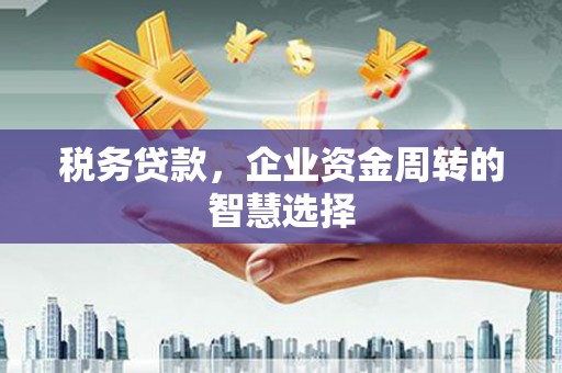 舞阳税务贷款，企业资金周转的智慧选择