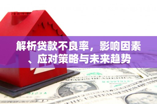 舞阳解析贷款不良率，影响因素、应对策略与未来趋势