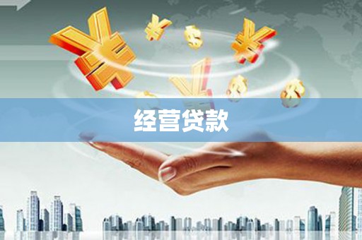 舞阳经营贷款