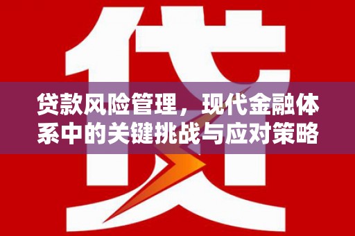 舞阳贷款风险管理，现代金融体系中的关键挑战与应对策略