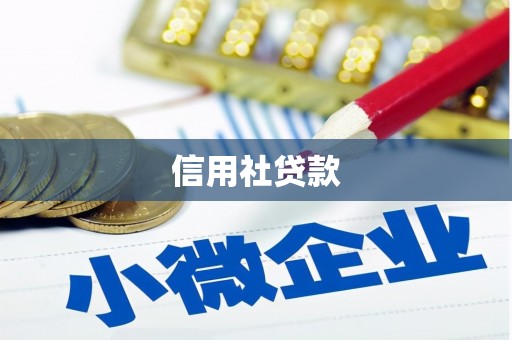 舞阳信用社贷款