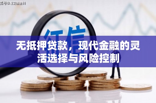舞阳无抵押贷款，现代金融的灵活选择与风险控制