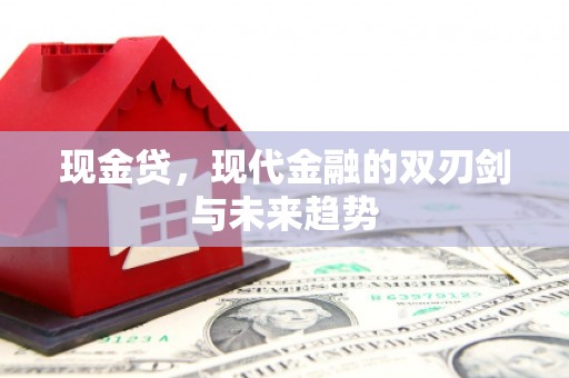 舞阳现金贷，现代金融的双刃剑与未来趋势