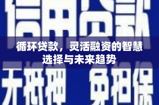 舞阳循环贷款，灵活融资的智慧选择与未来趋势