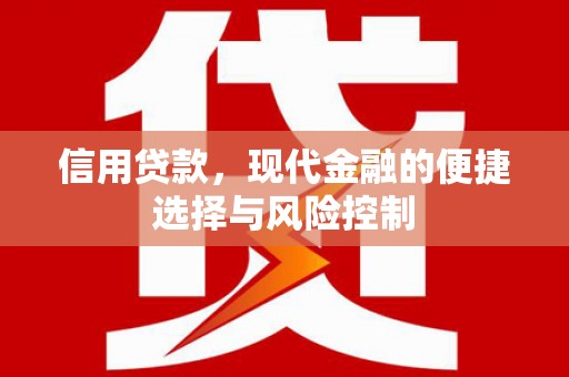 舞阳信用贷款，现代金融的便捷选择与风险控制