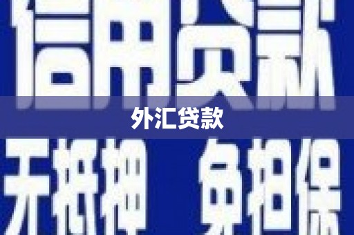 舞阳外汇贷款