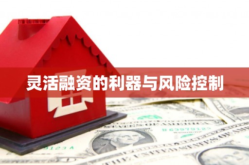 舞阳灵活融资的利器与风险控制