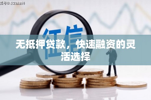 舞阳无抵押贷款，快速融资的灵活选择