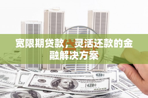 舞阳宽限期贷款，灵活还款的金融解决方案