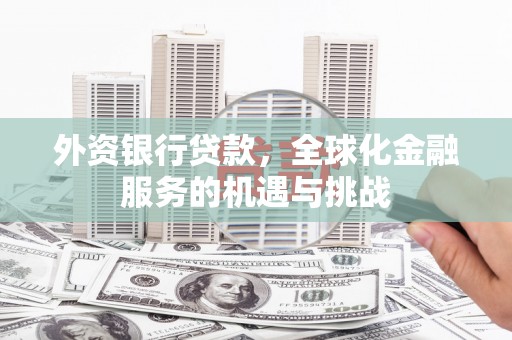 舞阳外资银行贷款，全球化金融服务的机遇与挑战