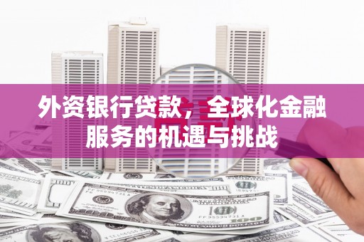 舞阳外资银行贷款，全球化金融服务的机遇与挑战