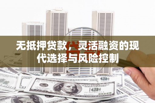 舞阳无抵押贷款，灵活融资的现代选择与风险控制