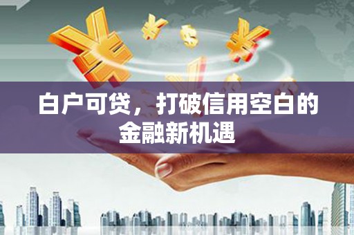 舞阳白户可贷，打破信用空白的金融新机遇