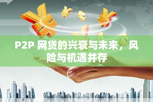 舞阳P2P 网贷的兴衰与未来，风险与机遇并存