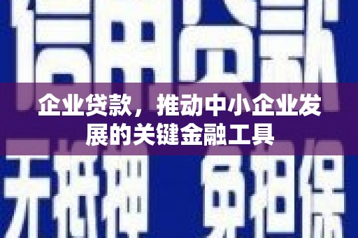 舞阳企业贷款，推动中小企业发展的关键金融工具