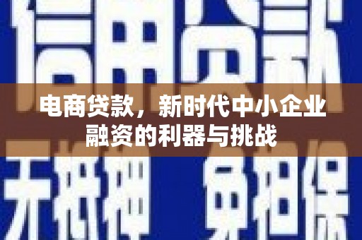 舞阳电商贷款，新时代中小企业融资的利器与挑战